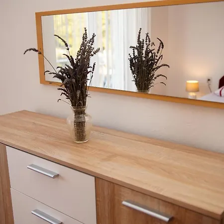 Appartement Ajdukovic *