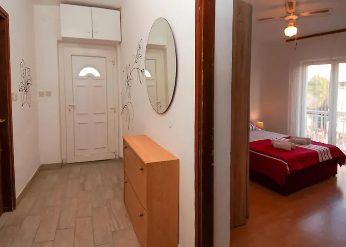 Ajdukovic * ヴォディツェ